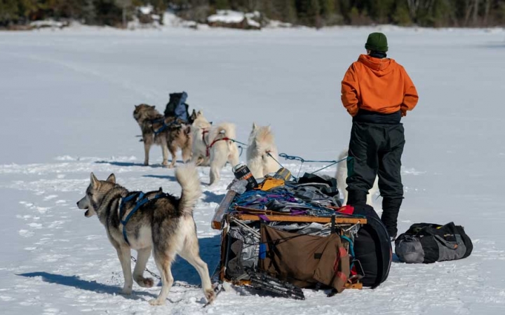boundary waters dog sledding